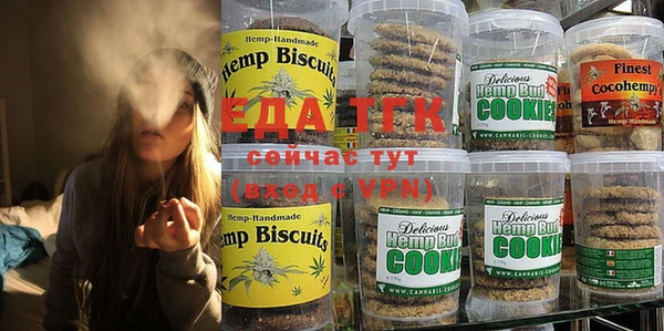 индика Арсеньев